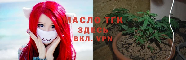 стафф Козловка