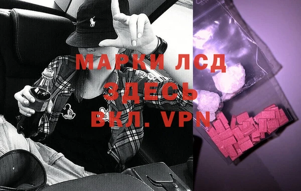 стафф Козловка