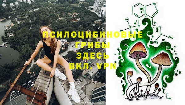 шишки Киренск
