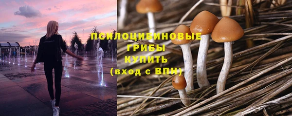 кристаллы Козельск