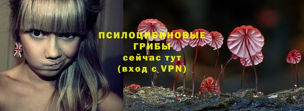 эйфоретик Кодинск