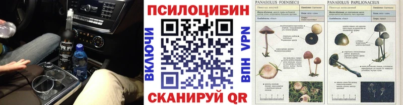 Галлюциногенные грибы Magic Shrooms  цены наркотик  Усинск 