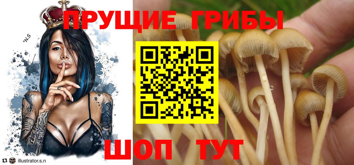 Усинск  Галлюциногенные грибы ЛСД  Вход с VPN  Псилоцибиновые грибы мухоморы 